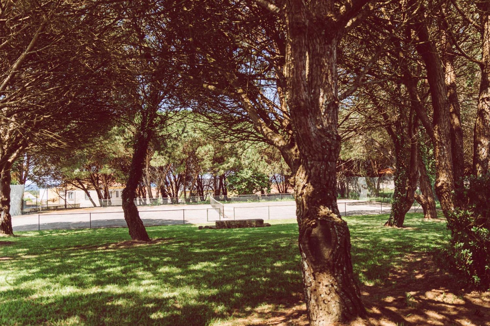 Quinta Do Monteverde Βιάνα ντο Καστέλο Εξωτερικό φωτογραφία